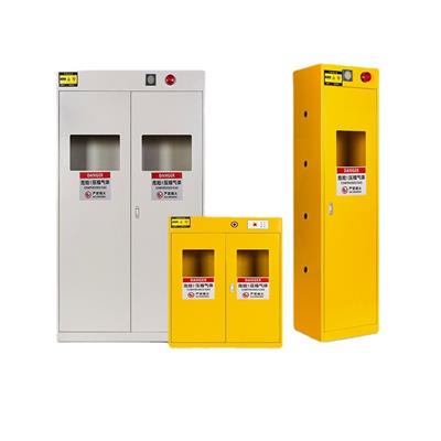 工业气瓶柜 全钢防爆柜 气体安全储存 坚固耐用