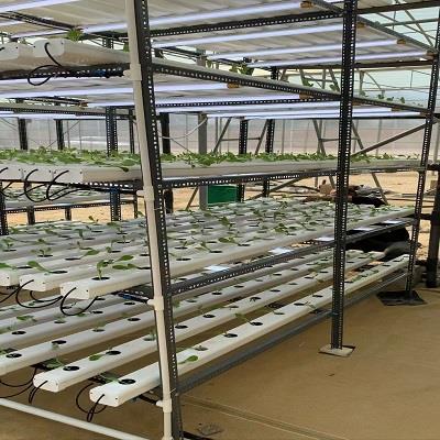 定制产品500米起批无土栽培设备A字基质草莓种植槽简易种植