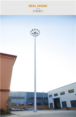 15-20米 高杆投光灯 LED模组灯 广场操场球场供应
