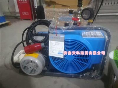 梅思安100TE空气呼吸器填充泵 梅思安100TE充气泵