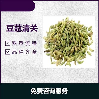 广州黄埔港豆蔻进口厂家注册 贴心服务 流程化的操作程序