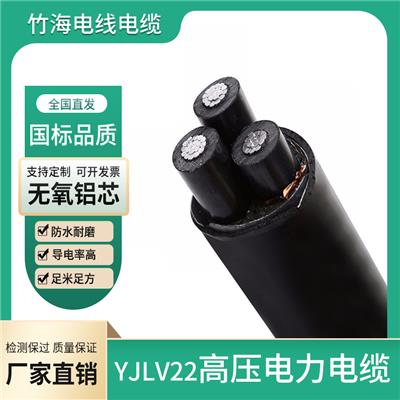 竹海长期供应YJLV22铝芯电缆_铠装电缆厂家直销