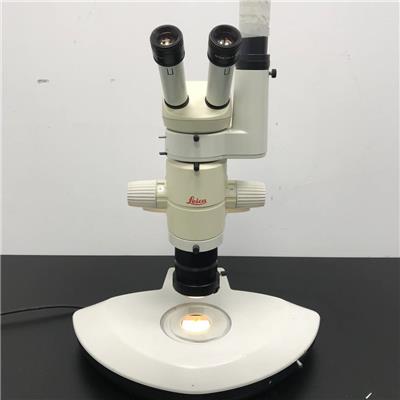 上海木森-二手莱卡LAIKA MZ8生物 显微镜 体现 显微镜