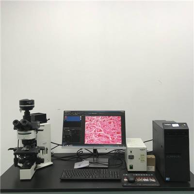 上海木森-二手奥林巴斯 OLYMPUS BX60 正置三色荧光--显微镜