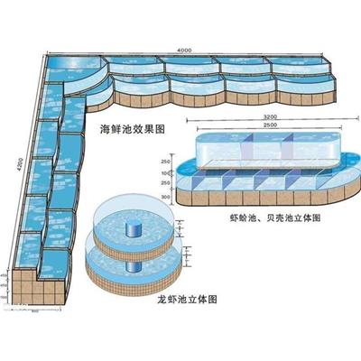 中山南区定做海鲜池公司石岐水产店三层海鲜池定制