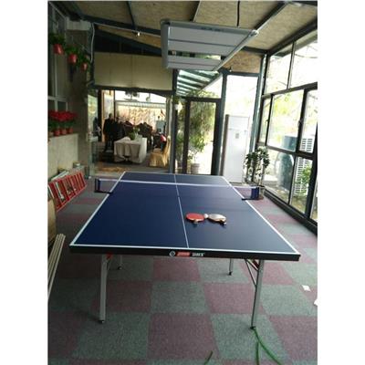 昌平区可折叠式乒乓球桌出租 乒乓球球台子
