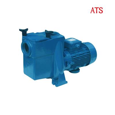 水过滤设备 爱克AT、ATS泳池铁泵 大功率铸铁泵 爱克循环水泵