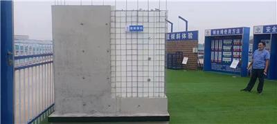 涿州SD建筑保温体系钢丝网架保温板