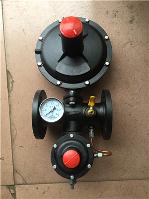 RTZ-F天然气调压器燃气减压阀氧气液化气汽化器调压阀二级工业