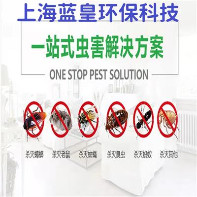 上海虹口区灭鼠公司哪家好专业除虫服务公司消杀除虫