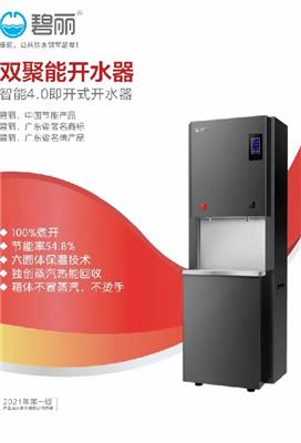 杭州销售碧丽直饮水机安装,净水器