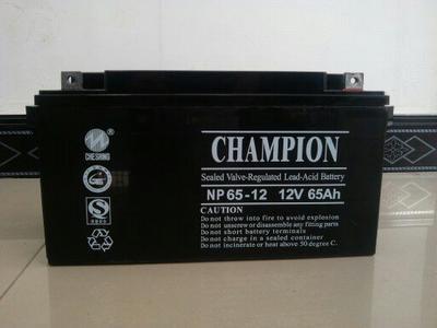 冠军蓄电池NP12-65铅酸免维护蓄电池12V65AH