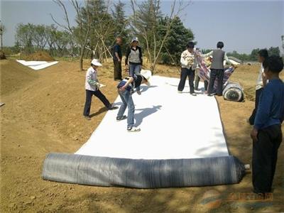 纳基膨润土防水毯丙纶布膨润土组成用于人工湖水库垃圾填埋场等防渗项目