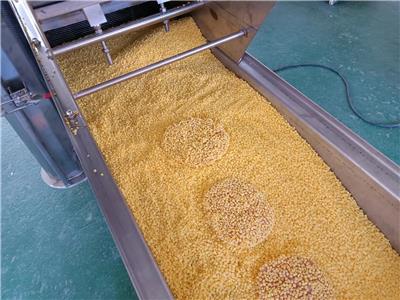 连续式洋葱圈上糠机 全自动休闲食品裹糠设备 可定制