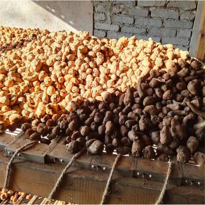 20-50克半斤以上魔芋种子肥料发酵过程病虫害防护**
