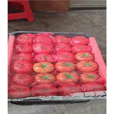 西区企业蔬菜配送 海鲜配送 广东蔬菜配送批发