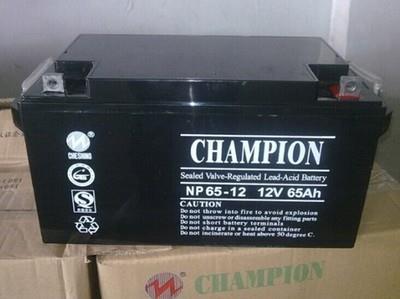 冠军NP38-12 12V38AH电池/冠军电池