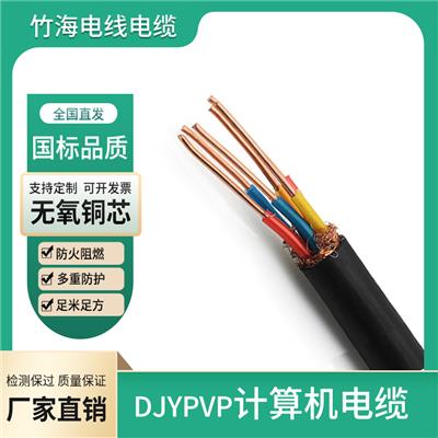 DJYPVP聚氯乙烯护套计算机屏蔽电缆