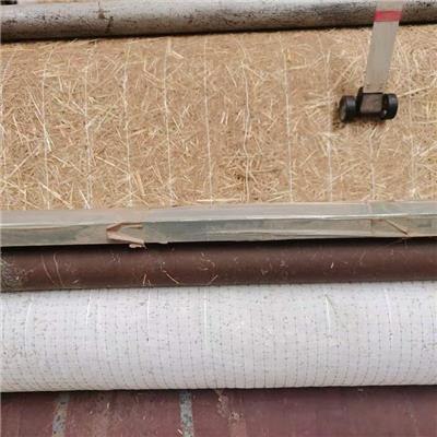 植物纤维毯 环保草毯护坡绿化治理修复