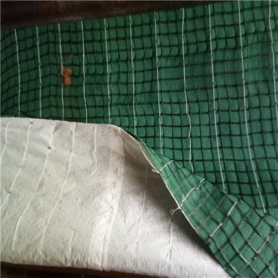 绿化护坡材料生产厂家 植物纤维毯 环保草毯 植生毯销售