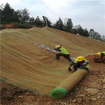 植生毯 环保草毯 厂家供应 椰丝绿化草毯边坡治理防护工程