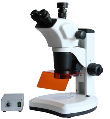 体式荧光显微镜