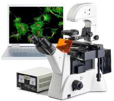 倒置荧光生物显微镜