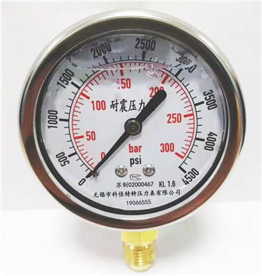 耐震压力表型号规格，量程，精度，安装螺纹