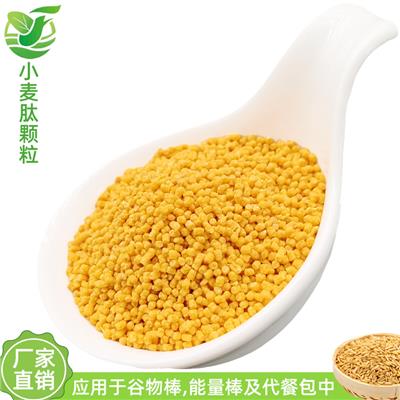 【创新产品】金色谷物颗粒 小麦肽颗粒 谷物棒原料 挤压颗粒