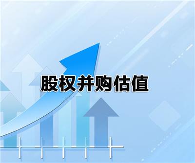 巢湖股权价值评估 江苏精言数据分析有限公司