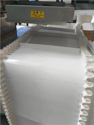 定制白色PU聚酯食品输送带 轻型工业输送皮带