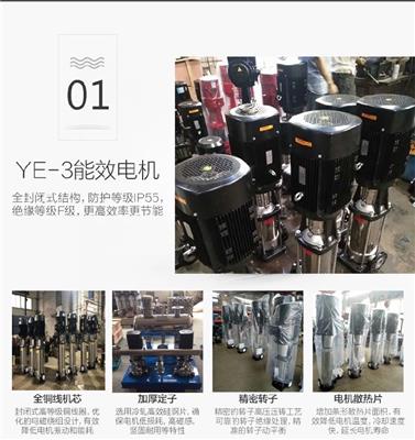 天津不锈钢多级泵,CDLF2-170多级泵