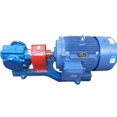 沧州航源齿轮泵 KCB不锈钢润滑油泵 汽柴油输送泵