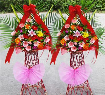 2023北京卖蝴蝶兰整盆送货到家的花卉市场