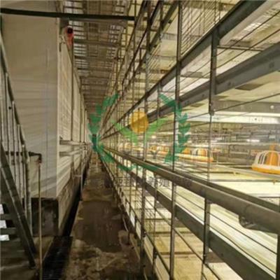 河南鸡笼厂加工自动化养鸡设备肉鸡笼