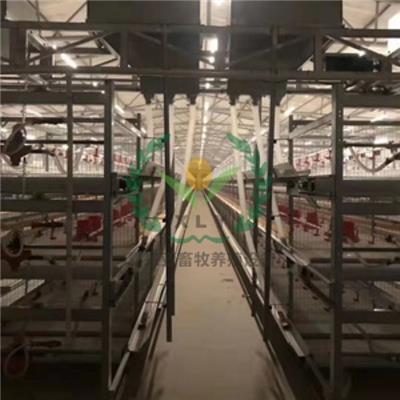 西平县养鸡设备鸡笼厂可加工养鸡清粪机、捡蛋机、喂料机、养鸡设备全套