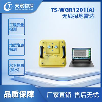 TS-WGR1201无线探地-雷达