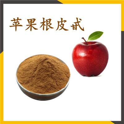 苹果根皮甙 含量萃取 资质齐全 喷雾干燥粉末水溶