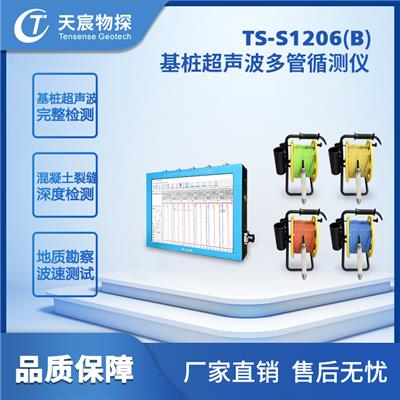TS-S1206基桩超声波多管循测仪