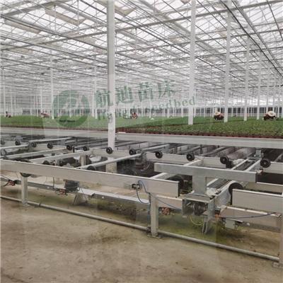 温室全自动潮汐苗床 可移动轨道式育苗床 现代农业科学育苗