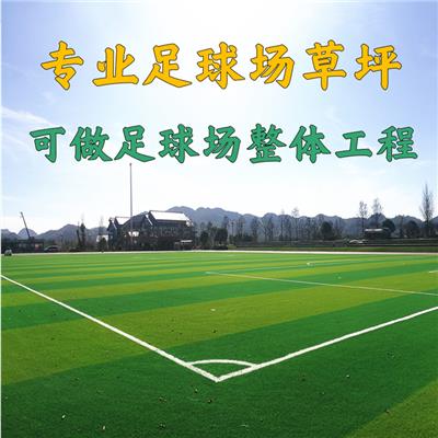 学校足球场人造草坪施工免费提供设计图