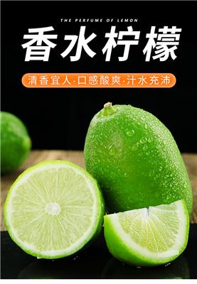 宏太农业正宗广东香水柠檬种植批发 皮薄多汁 无籽清香