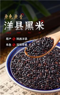 陕西农家洋县自产黑米新米黑糯米五谷杂粮米黑糯米粗粮煮粥5斤装