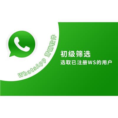 WhatsApp运营系统 支持图片语音片段传送
