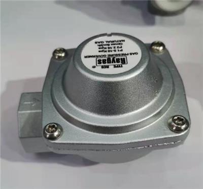 天津瑞盖斯 进口燃气设备 RC5调压器 调压阀 可定制