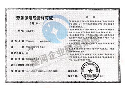 武清区注册劳务公司提供审计服务
