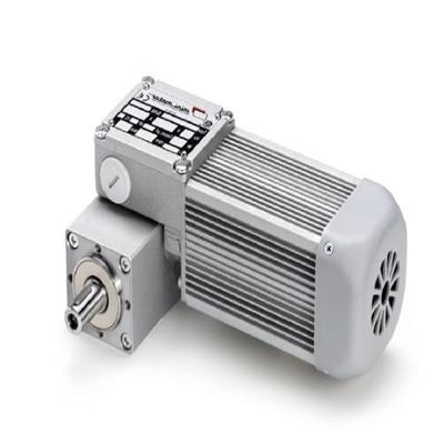 意大利Mini Motor BEC2000系列蜗轮蜗杆减速电机 功率可达 20 W