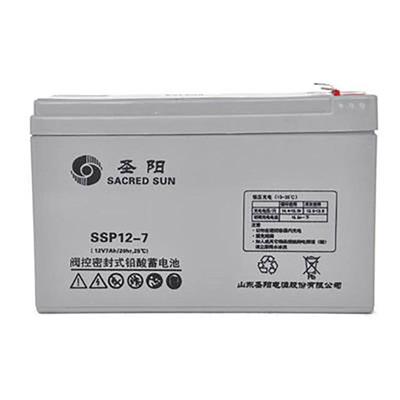 圣阳蓄电池UPS电源用SP12-38免维护电瓶12V38AH铅酸电厂船舶