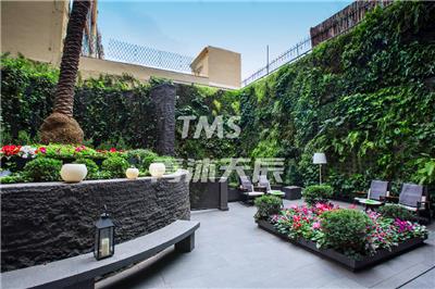 成都别墅庭院围挡生态绿色植物墙制作