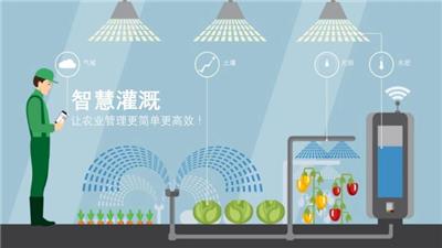深圳乡村振兴生态智慧农业解决方案 龙山县绿尔康食品供应